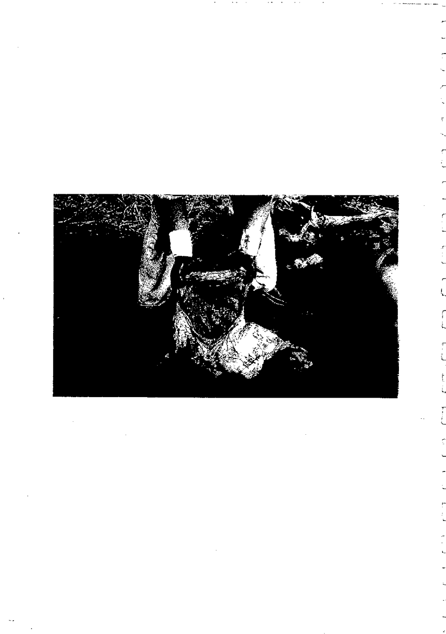 2000 Page 133